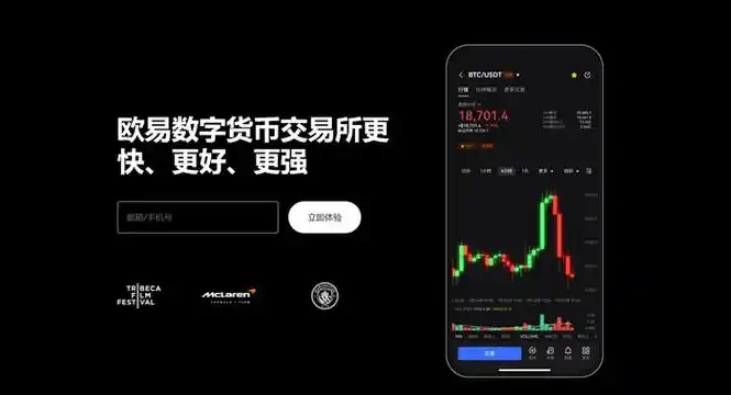 欧逸官方下载页面展示